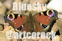 artcoreck BlueSky